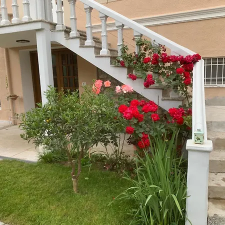 Bed & Breakfast Vintage